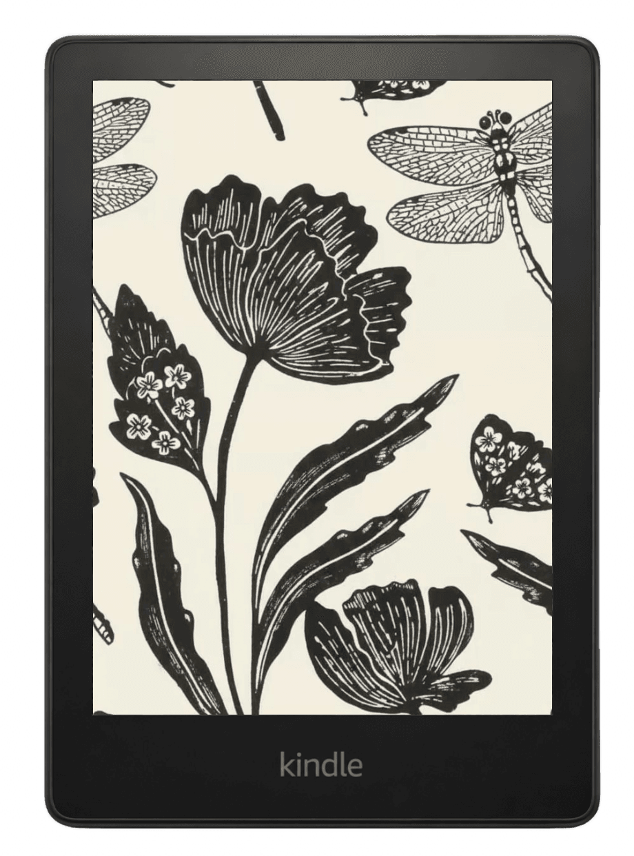 Kindle e-reader